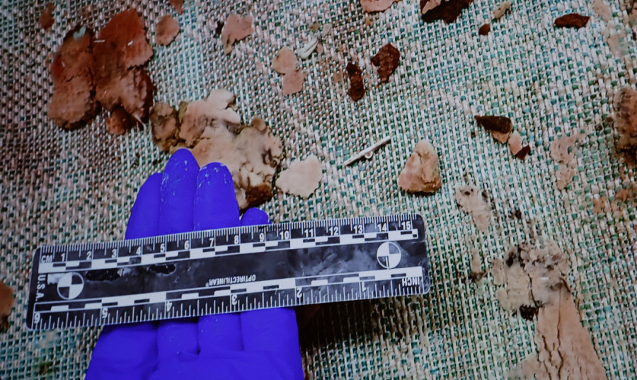 Majka Brajana Volša pisala sudiji pre izricanja presude: "Stiglo mi je Dijanino pismo, ali"...