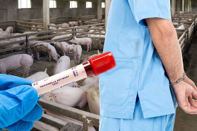 Užas u Pančevu: Prodavali meso zaraženo trihinelozom, veterinar i vlasnik gazdinstva uhapšeni!