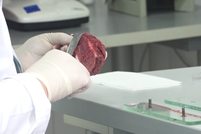 Potvrđeni prvi slučajevi trihineloze u mesu u Srbiji: Oglasili se iz Ministarstva poljoprivrede, ovo su simptomi