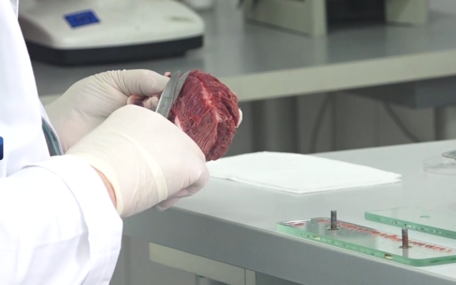 Novi detalji o širenju trihineloze u Pančevu: 17 ljudi jelo zaraženo meso, evo u kakvom su stanju!