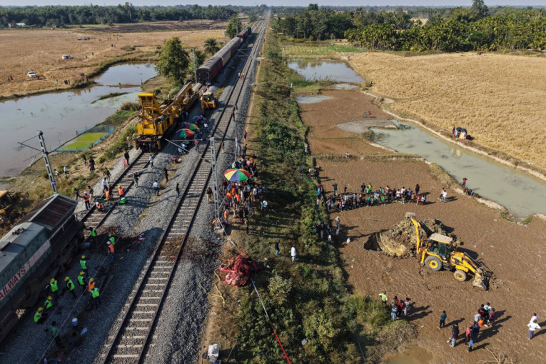 Voz se zakucao u krdo slonova: Ubio 7 životinja, povredio jednu (VIDEO)
