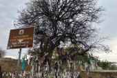 Zašto ljudi vezuju krpice za drvo staro stotinama godina? Tajanstveni običaj na Kipru za koji mnogi ne znaju (FOTO)