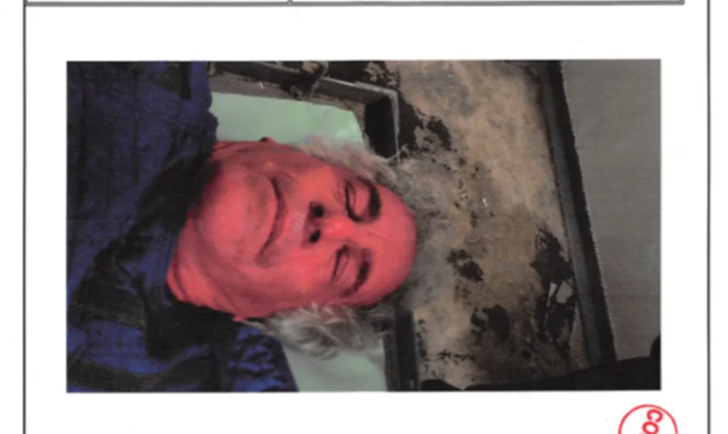 "Sprovedite gospođu Vindzor": Endru dovodio žene u Bakingemsku palatu Epstinovim "Lolita ekspresom"