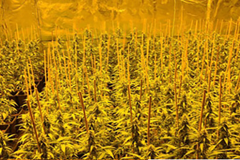 Horor u Subotici! Upao u kuću poznanika, krvnički ga tukao -  zapretio  i ženi!