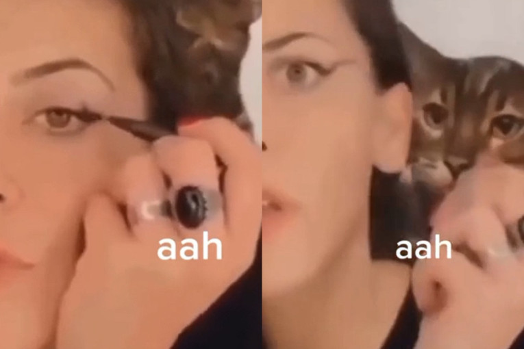 Mačka napravila potpuni haos dok se vlasnica šminkala: Viralni snimak pregledan preko 40 miliona puta (VIDEO)