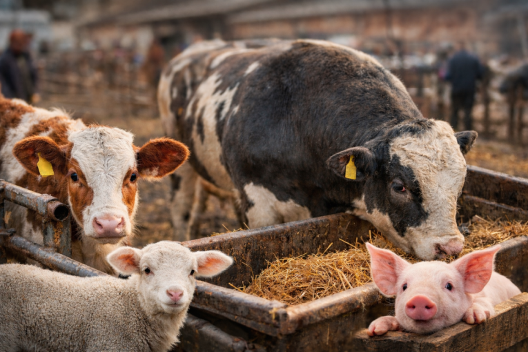Rastu cene na pijacama pred praznike, a evo šta se najviše traži!