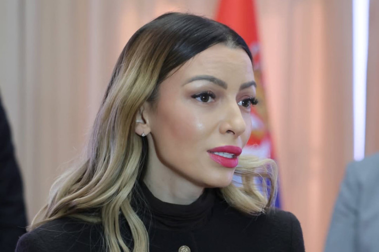 Mesarović: Pokušali su da nam sruše državu, nisu uspeli – 2026. mora biti još jača za srpsku privredu!