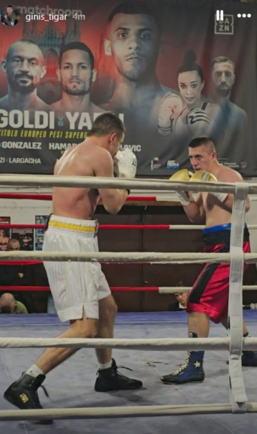 Dečko Jovane Jeremić danas imao meč: Tigar nokautirao protivnika, pa poslao poruku!