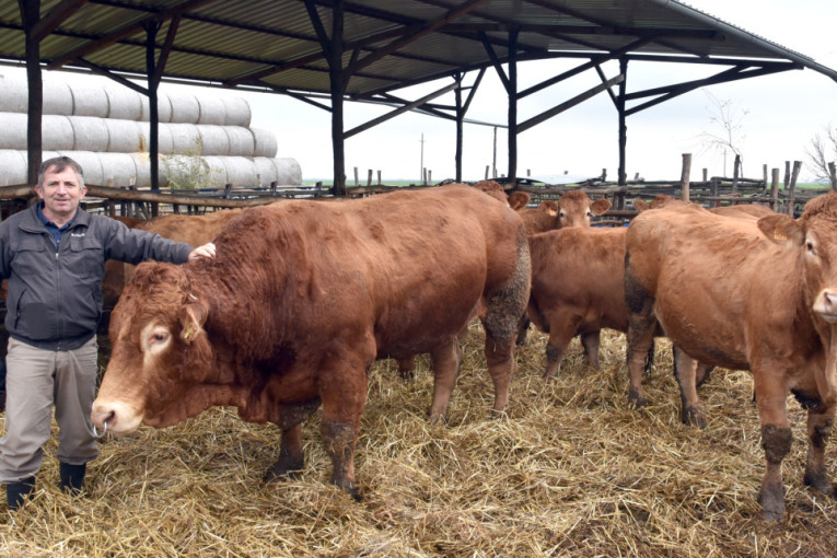 Važan sastanak sa kineskom kompanijom: Ministarka Mesarović o novim investicijama sa "Serbia Zijin Mining"