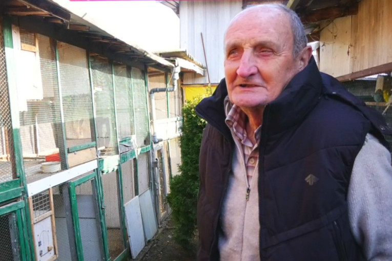 Pernato carstvo u Trnavi: Milan ima na desetine ptica u svom neobičnom domaćinstvu, u srcu Srbije žive čak i egzotične vrste (FOTO)