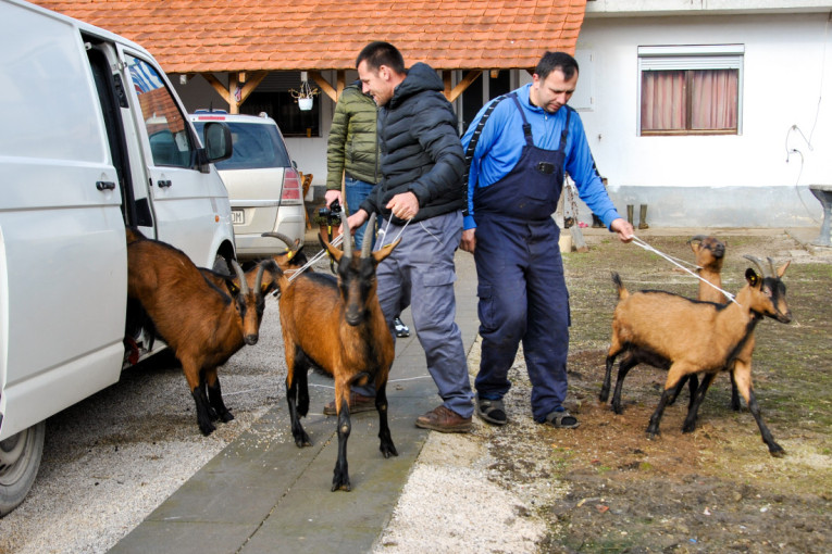 Prešli hiljade kilometara da pomognu Srbima: Stigao božićni konvoj iz Francuske