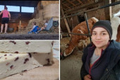 Iz stana u štalu: Jovana se vratila na selo i danas proizvodi stotine litara mleka (FOTO)
