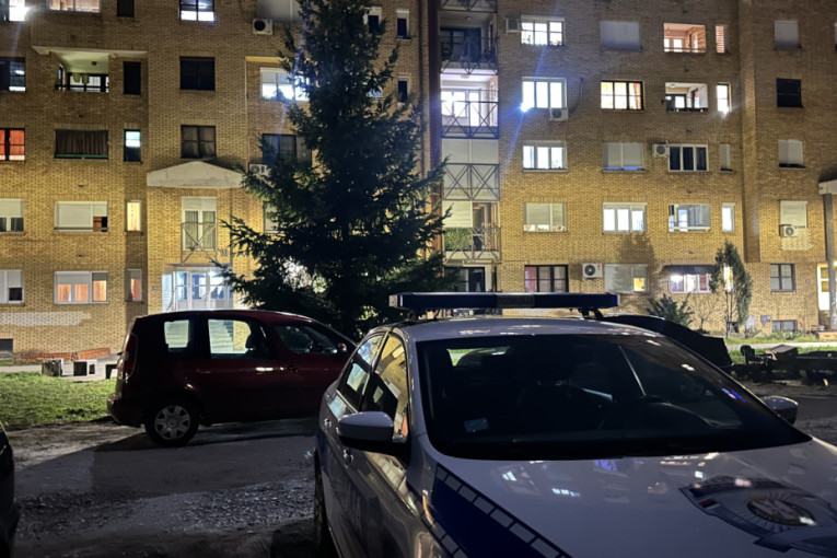 Zbog 18 hiljada evra pucao dedi u glavu! Detalji krvavog pira u Beogradu