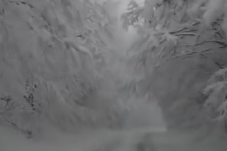Bajkovit prizor na srpskoj planini: Zavejalo, a sneg i dalje pada (VIDEO)