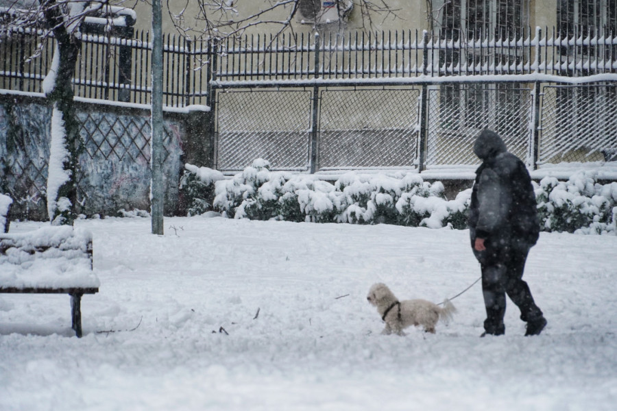 Oglasio se RHMZ! Evo gde su upaljeni meteo alarmi!