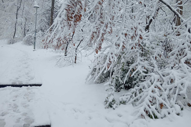 Težak sneg napravio haos: Kvarovi na elektro-mreži u četiri okruga
