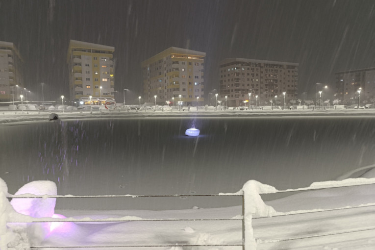 Krivična prijava zbog smrti majke dvoje dece u Sarajevu! Usmrtilo je stablo dugo 10 metara