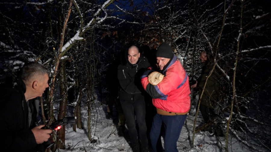 Domaćini sa potomcima ranom zorom krenuli u seču badnjaka: Prelepa praznična slika iz sela Gornja Trepča (FOTO)