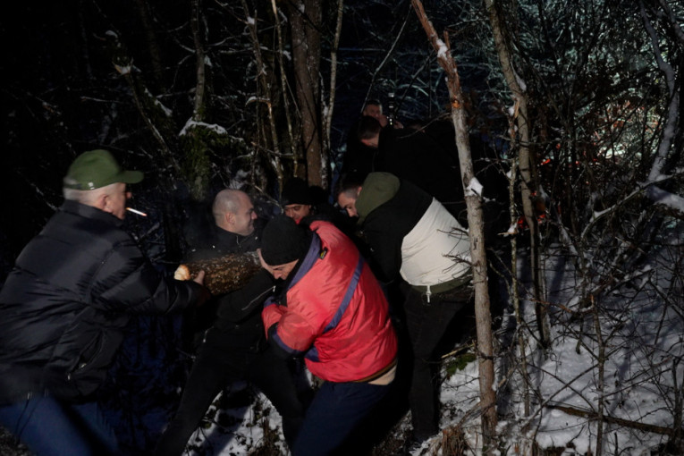Domaćini sa potomcima ranom zorom krenuli u seču badnjaka: Prelepa praznična slika iz sela Gornja Trepča (FOTO)