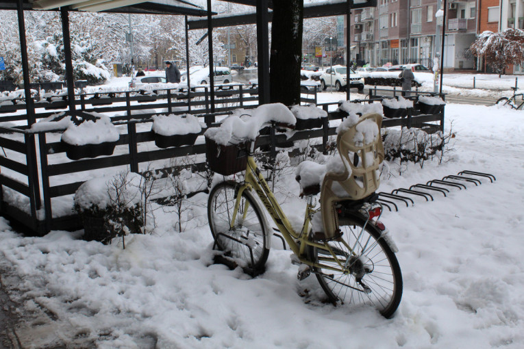 Stablo bora palo ispred ulazu u školu! Sneg pravi haos i u komšiliku