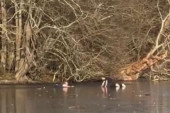 Vatrogasci upali u ledeno jezero! Jedva izvukli živu glavu, sve zbog njega! (VIDEO)
