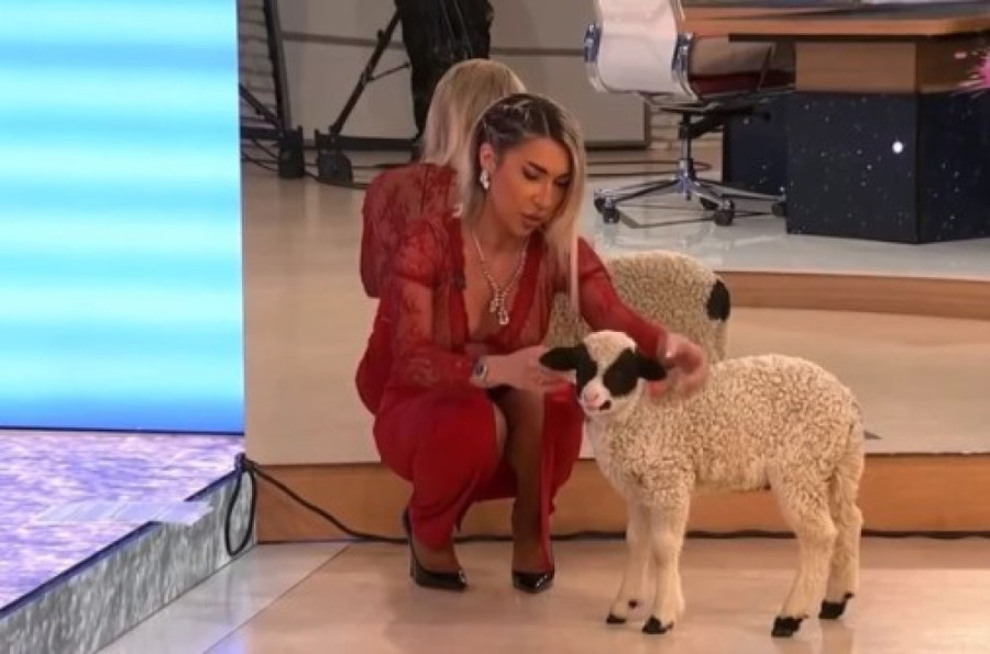 Bivši dečko Jovane Jeremić napravio najveću česnicu u Srbiji: Teška 200 kilograma, a u njoj 33 dukata