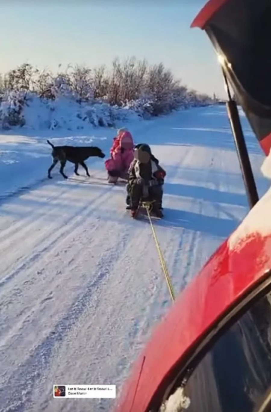 Sanke vezao za auto, pa vozio decu! Darko Lazić usijao mreže objavom (FOTO)