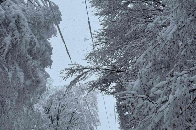 Oglasio se EDS: Struja uskoro stiže u Ivanjicu, ali i ovaj kraj Srbije!