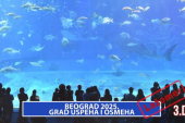 Lažomer: Beograd 2025. grad uspeha i osmeha 3. deo (VIDEO)
