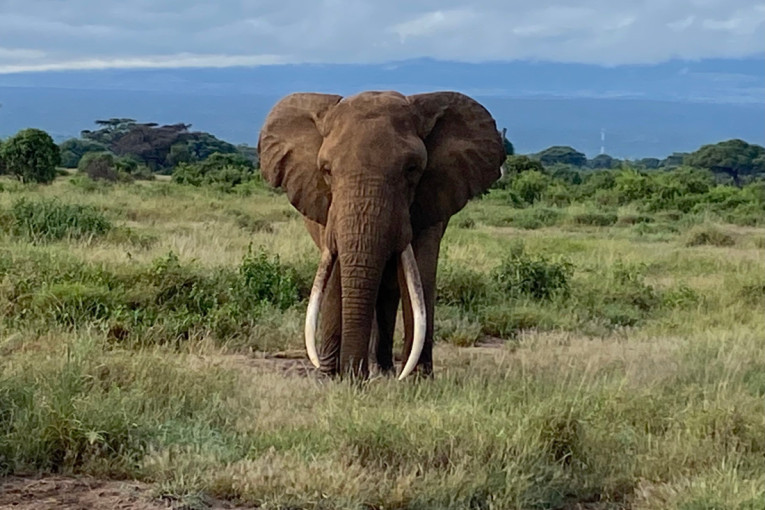 "Ne bombardujte Iran": Senatori upozoravaju Trampa na posledice