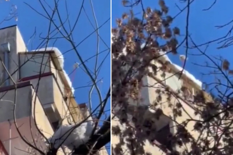 Bahatost usred bela dana! Tresla sneg sa terase i ulubila haubu tuđeg auta (VIDEO)