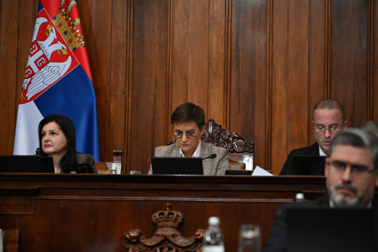 Nisu preterano bitni: Ana Brnabić o poseti poslanika EP