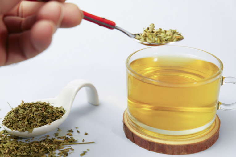 Ova biljka vekovima fascinira stručnjake, zovu je i "čudotvorno drvo": Prirodni saveznik dobrog imuniteta