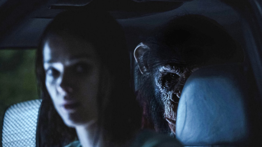 Vrištanje, skakanje sa stolica i neopisiv užas: Ovaj horor je izbezumio gledaoce (FOTO/VIDEO)