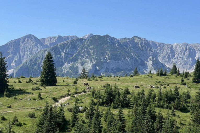 Poklanja imanje u srcu Durmitora: Milorad daje 15.000 kvadrata uz samo jedan uslov