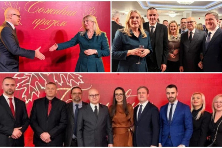 Ministarka Mesarović: Neće se stati dok i poslednji građanin ne dobije električnu energiju