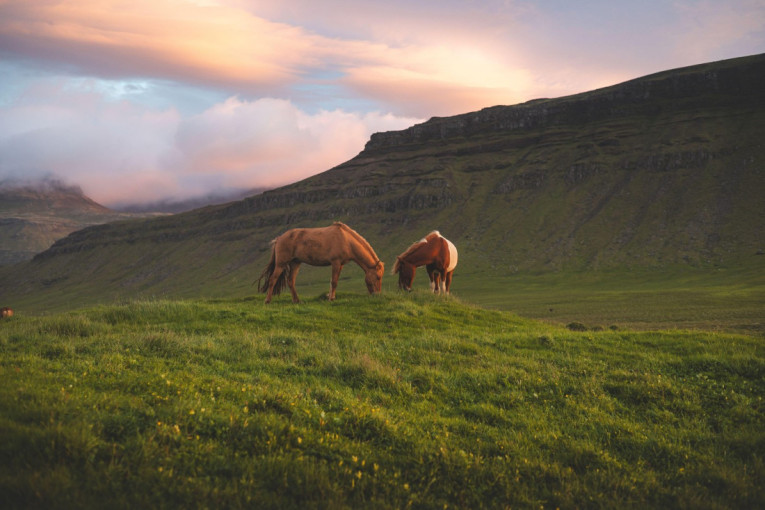 Lepota koja ostavlja bez reči: Ovo malo mesto na Islandu izgleda sa razglednice (FOTO)
