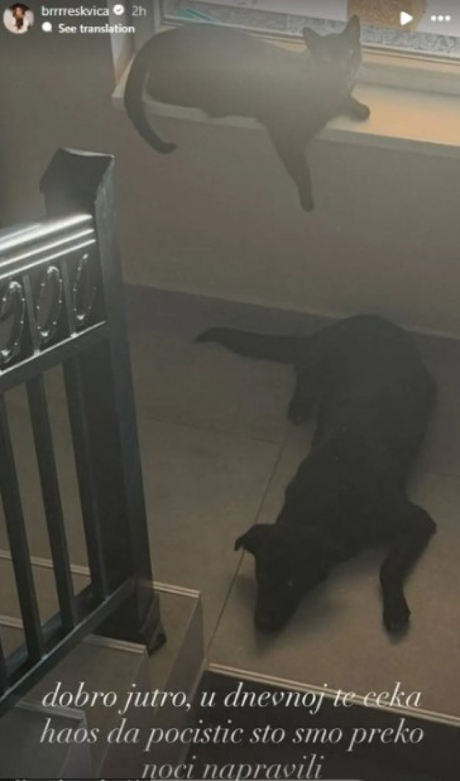 Demolirali Breskvici kuću! Šok snimak kruži mrežama - ljudi u neverici! (FOTO)