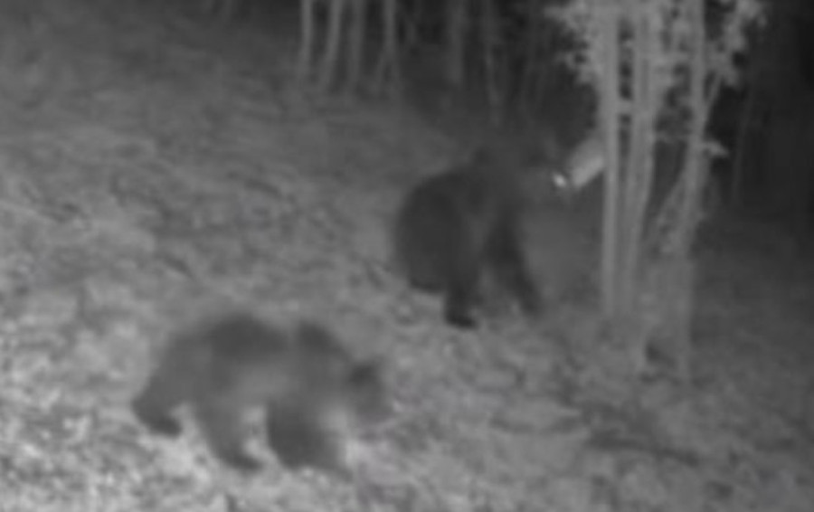 Drama na pijaci u Šapcu: Iznenada se zapalio automobil! (VIDEO)