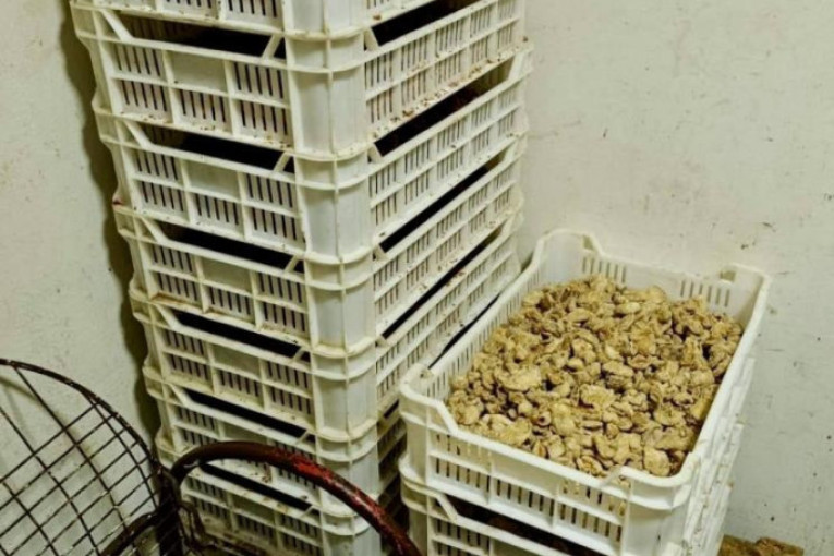 Prodavao meso bez potrebne dokumentacije: Policija uhapsila vlasnika mesare i oduzela gotovo osam tona nelegalnog mesa!