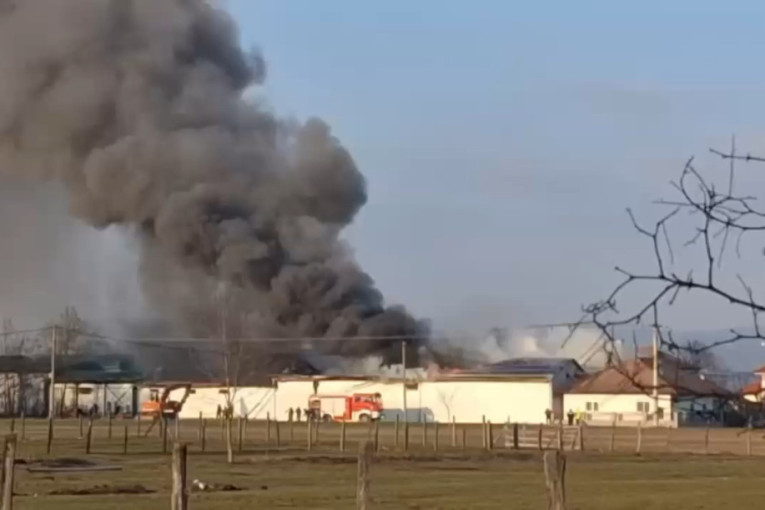 Veliki preokret u Siriji: Kurdski SDF ulazi u državne strukture, frontovi se gase