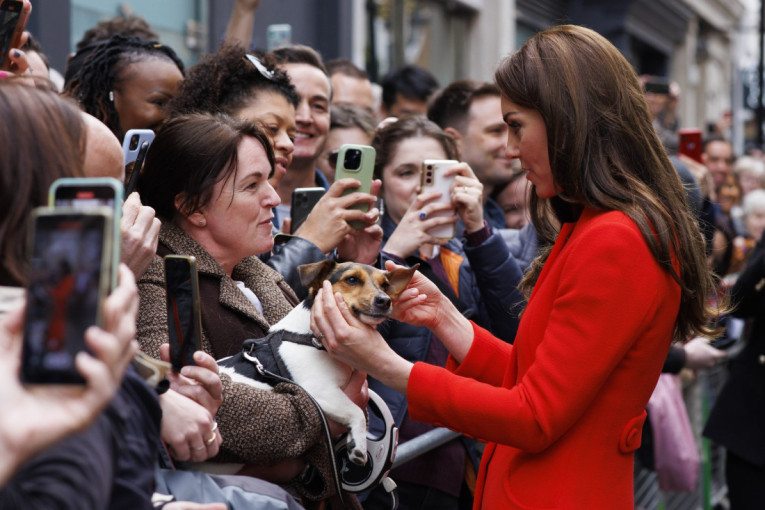 Ignoriše vas jer bi najradije dremnuo: Tri najčešća simptoma koja ukazuju da je pas premoren