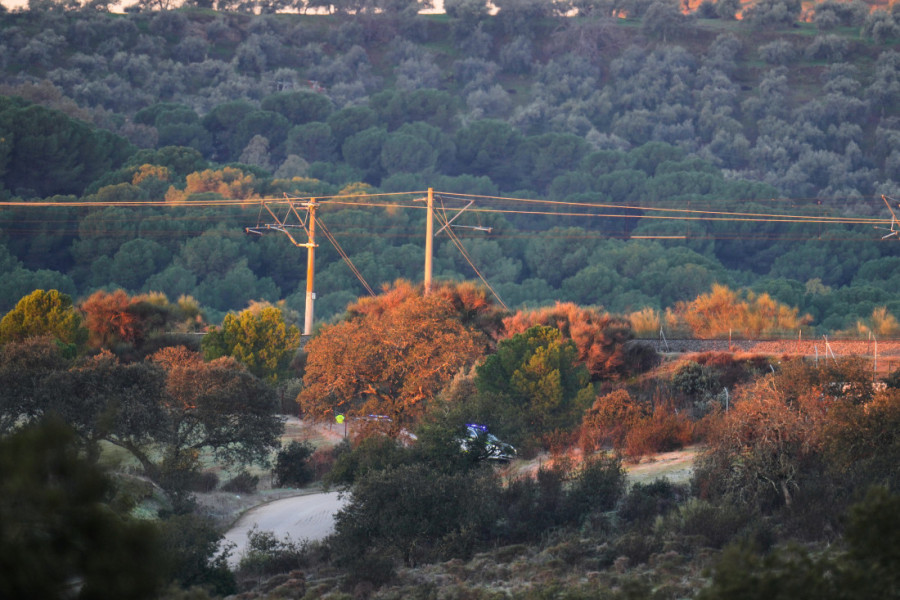 Oglasio se ministar saobraćaja posle nesreće u Španiji: Izjavio da je železnička nesreća "izuzetno čudna"