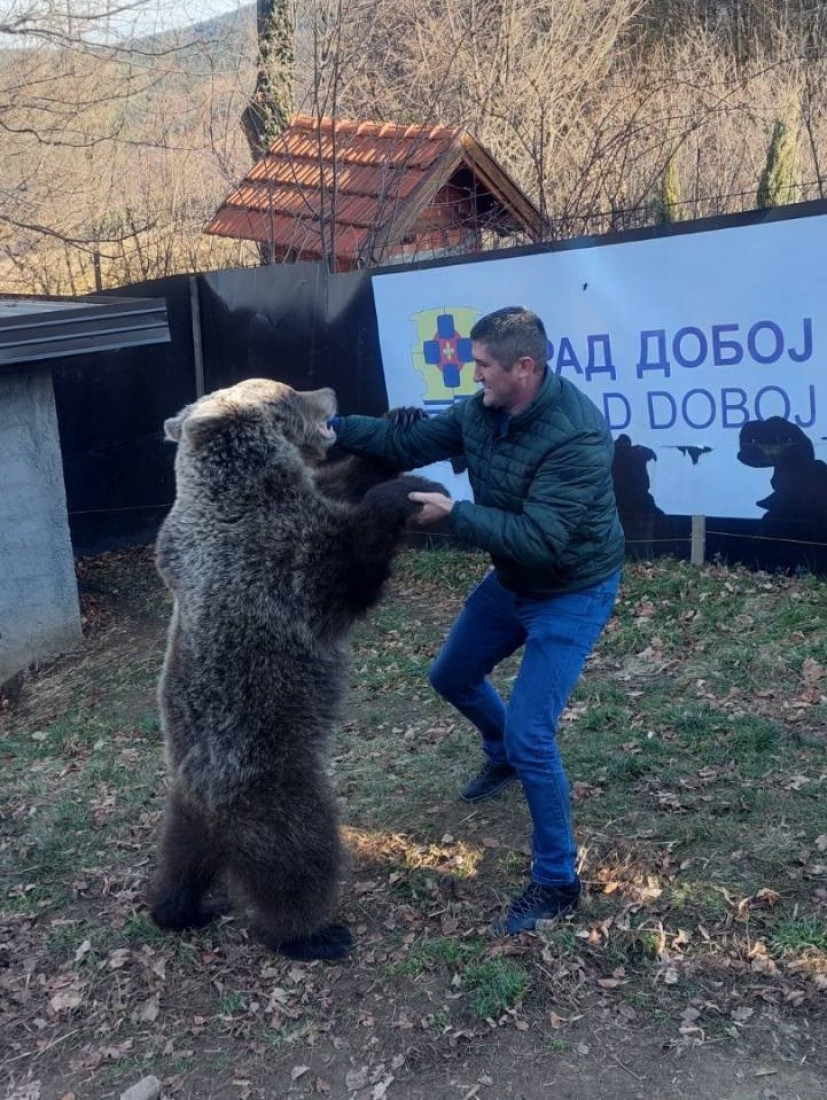 Spasene od sigurne smrti, danas se maze sa ljudima: Medvedice Maša i Ljubica postale su prava atrakcija Ozrena (FOTO)