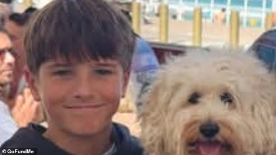 Porodica Antić prolazi kroz agoniju: Njihovog sina (12) napala ajkula, dečak se bori za život!