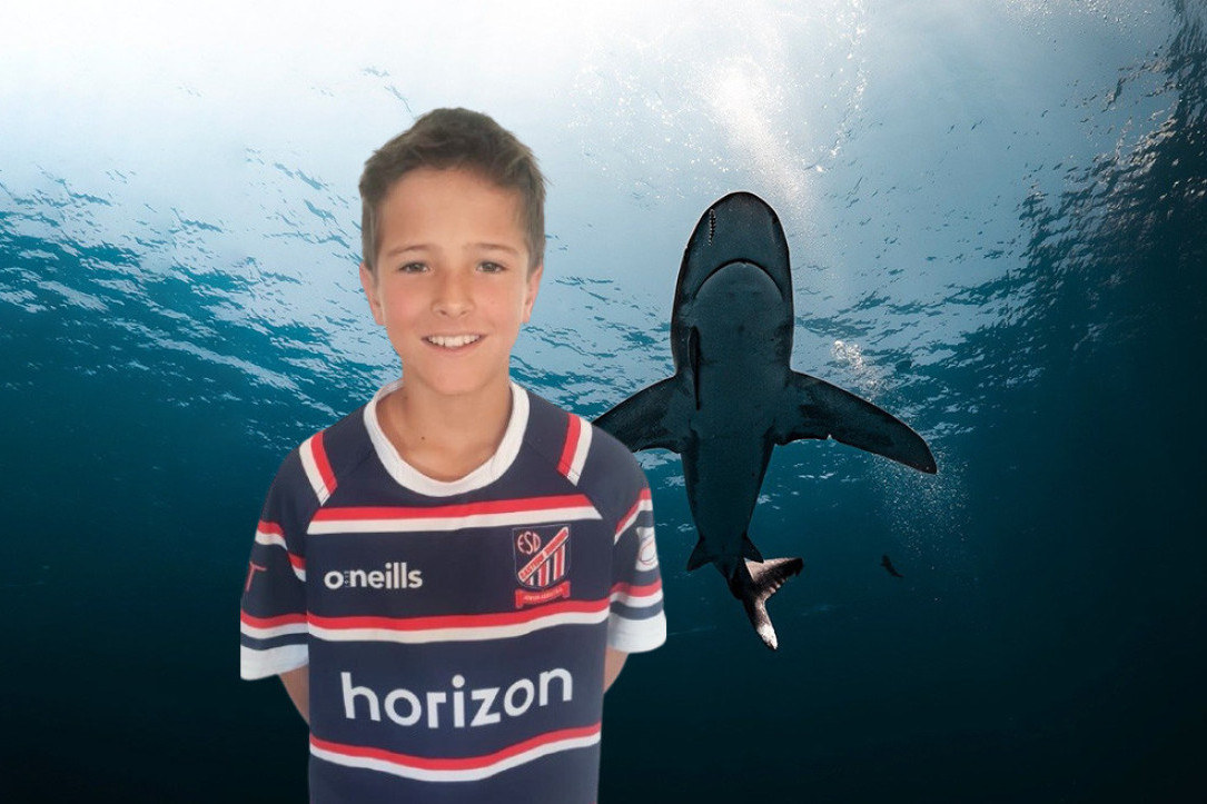 Lavrov: Prodaja NIS-a mađarskom MOL-u je u interesu Rusije