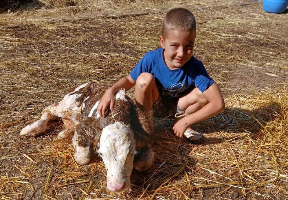 Kupili ćerki kravu, pa napravili biznis: Svi traže njihov kačkavalj i švapski sir (FOTO)
