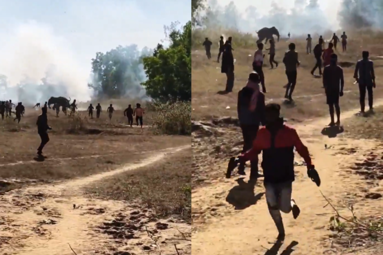 Podivljali slon ubija ljude danima! Pojavili se stravični snimci, usmrtio više od 20 osoba, među mrtvima i beba (VIDEO)