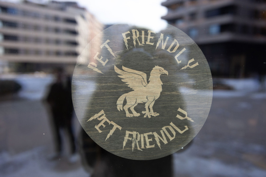 Ako na Dorćolu vidiš metlu – ne brini: Svi idu na after u Hari Poter kafić! (FOTO/VIDEO)