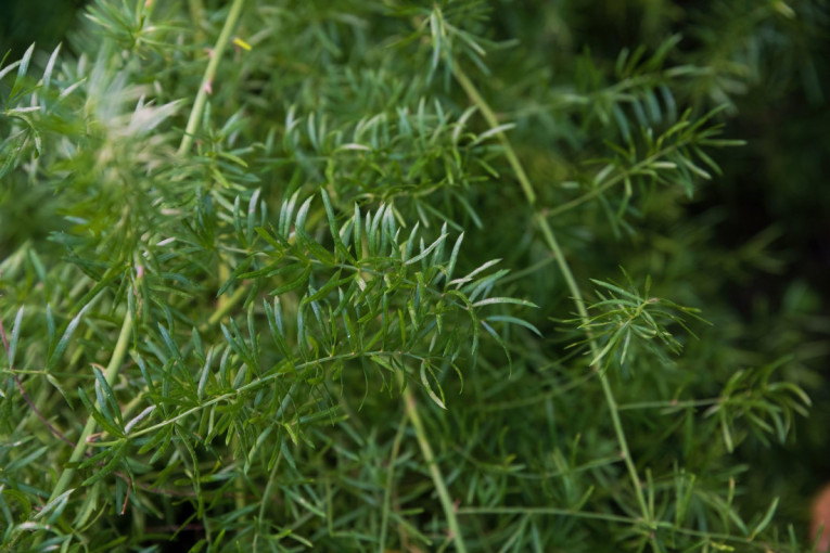 Mislio da je sve završeno, a onda je usledio šok: Platio dug, banka mu upisala hipoteku - evo kako je spasao imovinu!
